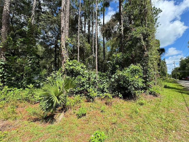 NW 58th Pl, Chiefland, FL 32626 - photo 5