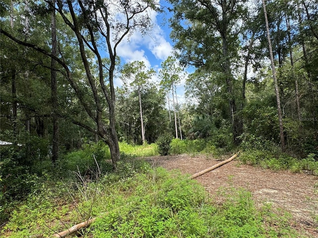 NW 58th Pl, Chiefland, FL 32626 - photo 3