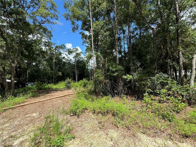 NW 58th Pl, Chiefland, FL 32626 - photo 4