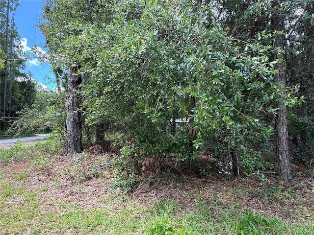 NW 58th Pl, Chiefland, FL 32626 - photo 6