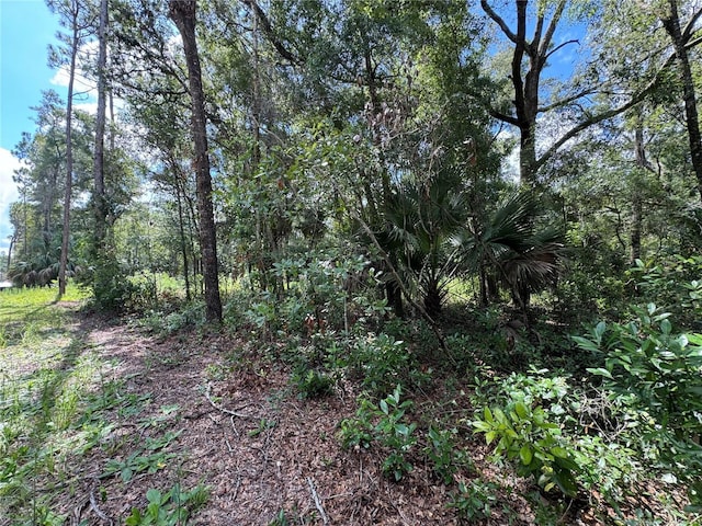 NW 58th Pl, Chiefland, FL 32626 - photo 9