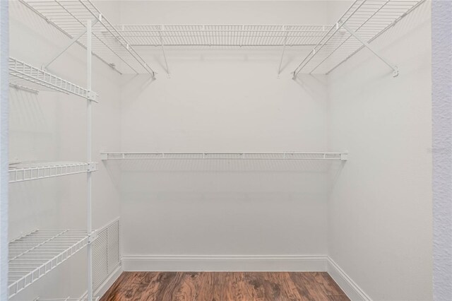 walk in closet with hardwood / wood-style floors