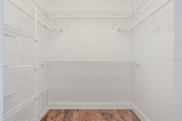 walk in closet featuring hardwood / wood-style floors