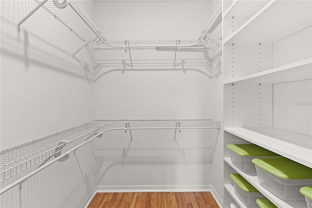 spacious closet featuring hardwood / wood-style flooring