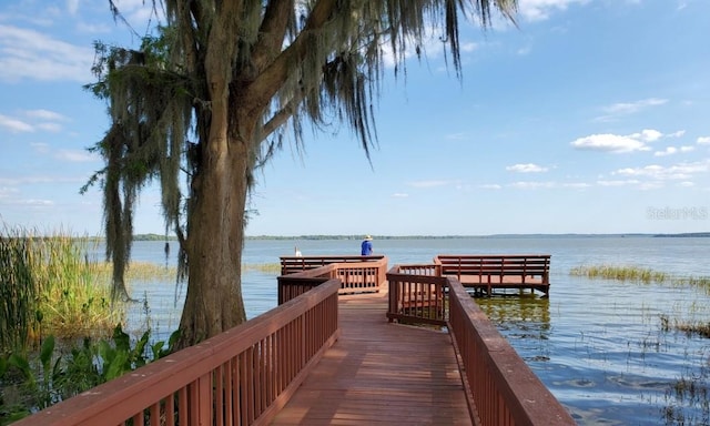 dock area with a water view