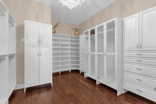 walk in closet with dark wood-style flooring and an inviting chandelier