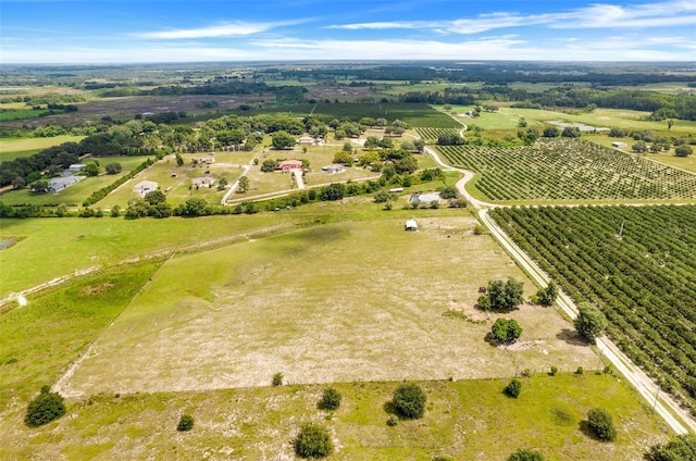 Smith Rd, Groveland, FL 34736 - photo 8