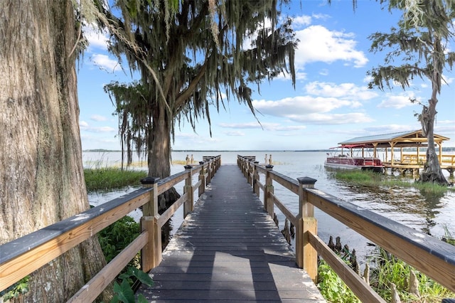 dock area with a water view