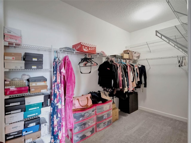 spacious closet featuring carpet