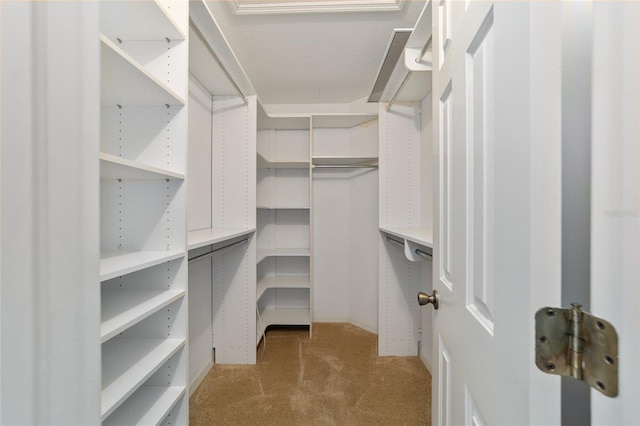 walk in closet featuring light carpet