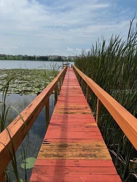 dock area with a water view