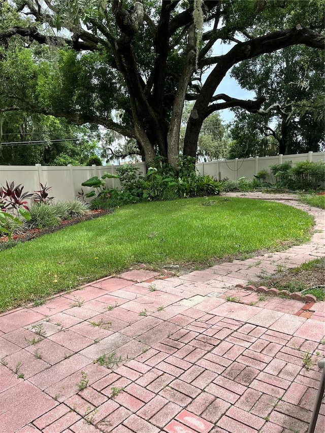 view of yard with a patio