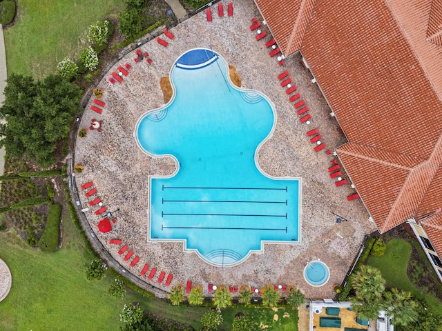 view of swimming pool