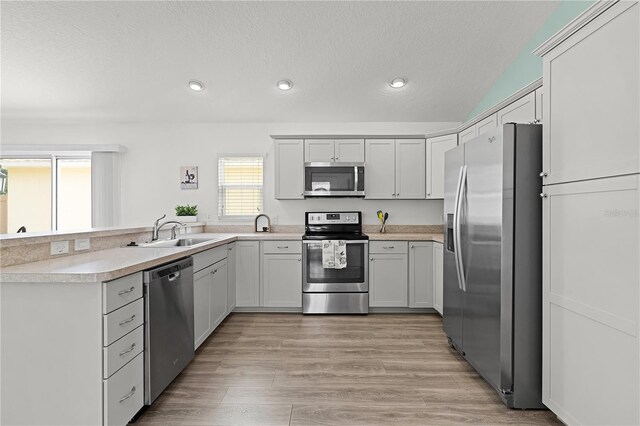 kitchen with sink, appliances with stainless steel finishes, light hardwood / wood-style floors, and plenty of natural light