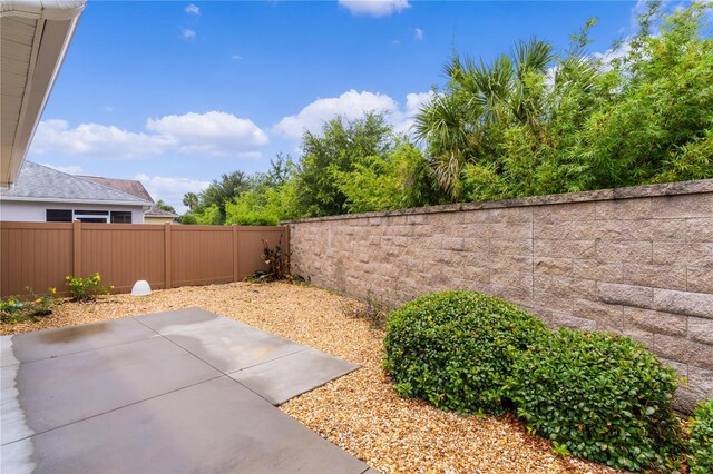 view of yard featuring a patio area