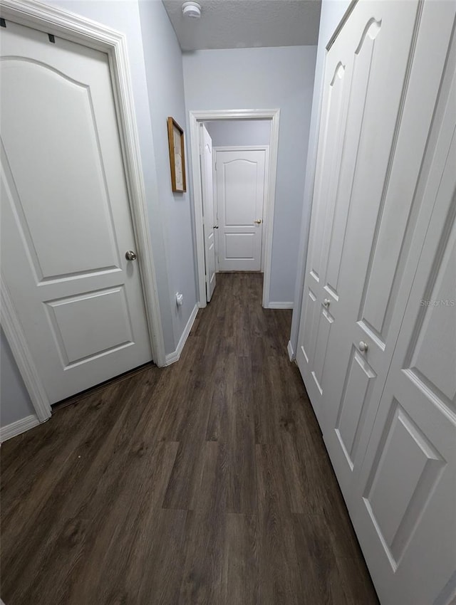 hallway featuring dark hardwood / wood-style floors