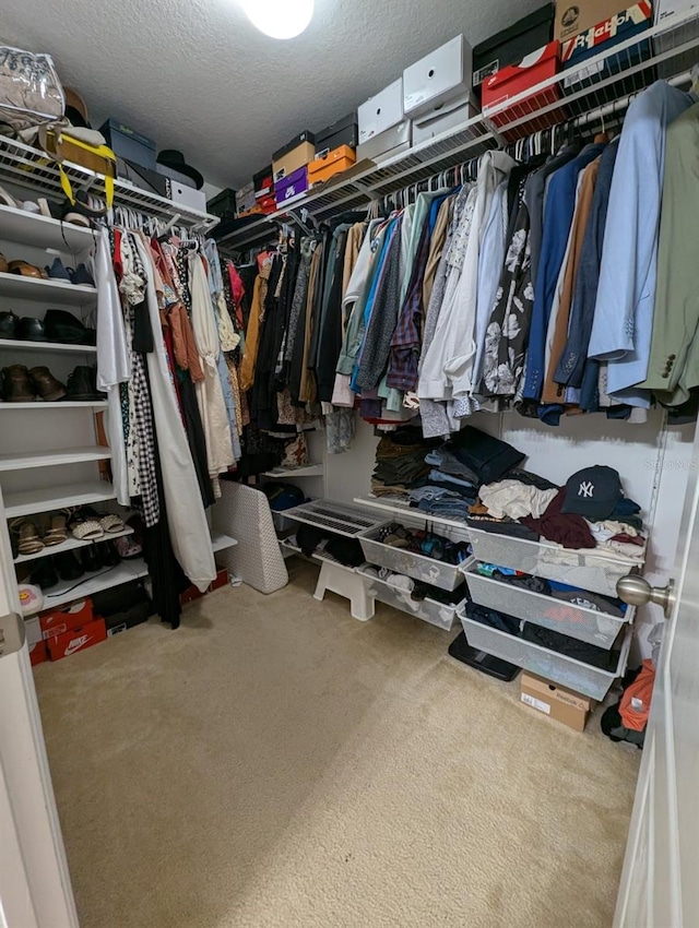 spacious closet featuring carpet floors