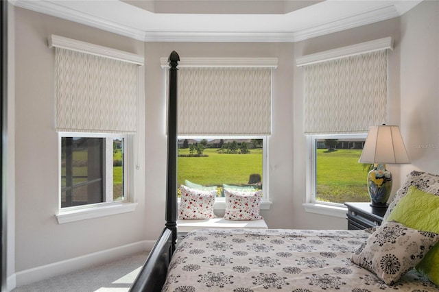 carpeted bedroom with crown molding