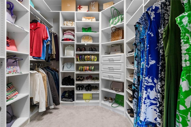 walk in closet with carpet flooring