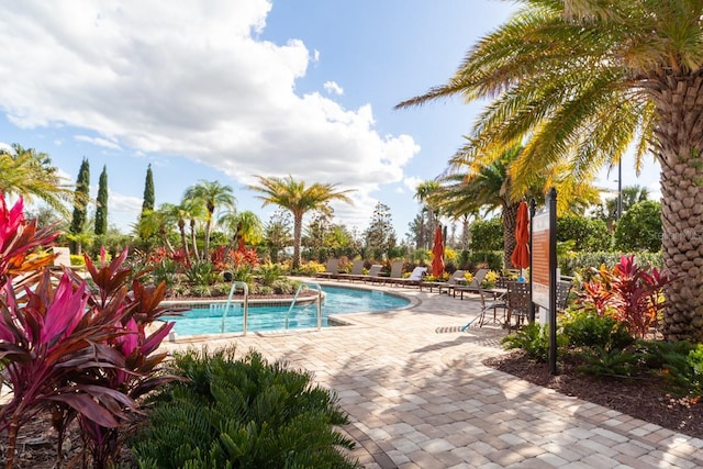 view of pool featuring a patio area