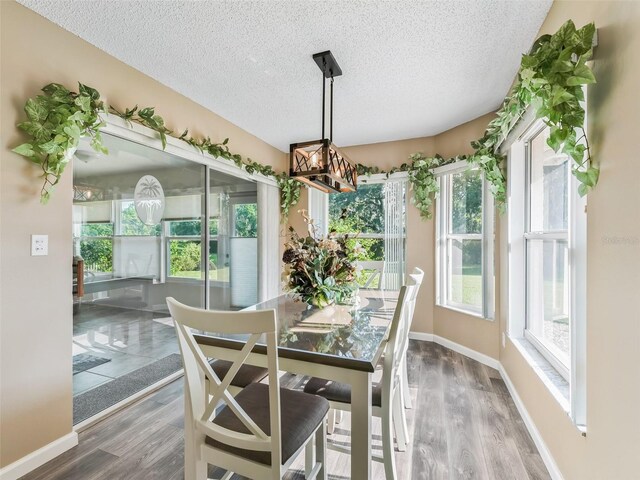 dining room with hardwood / wood-style floors, a notable chandelier, and a textured ceiling