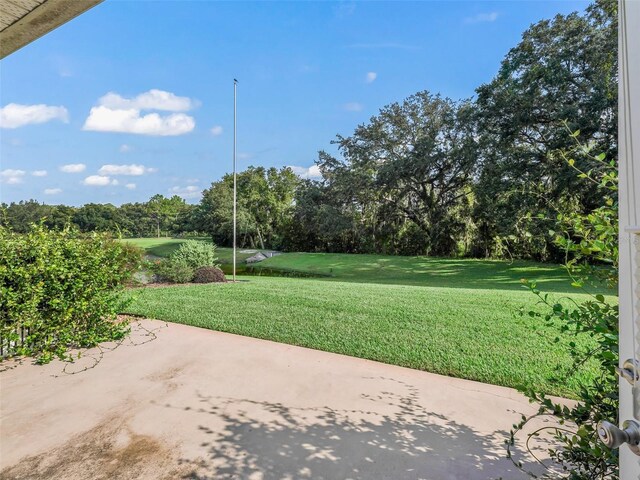 view of yard with a patio area