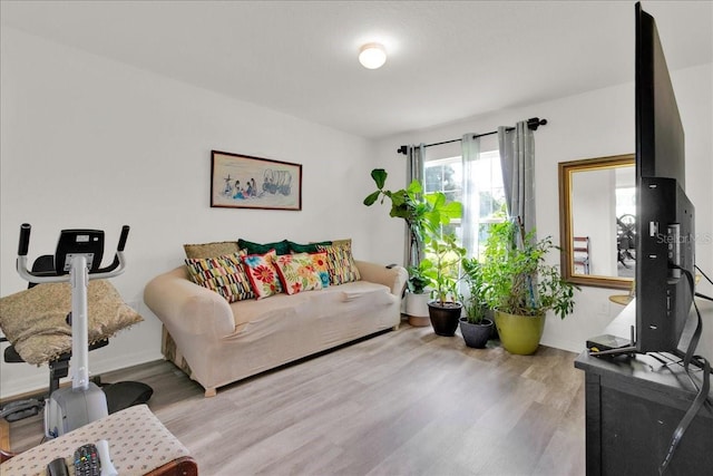 living room with light wood-type flooring