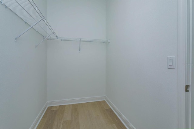 spacious closet with light wood-type flooring