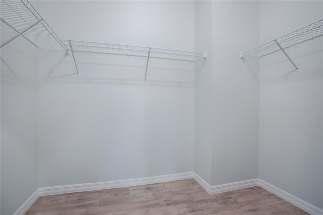 spacious closet with light wood-type flooring