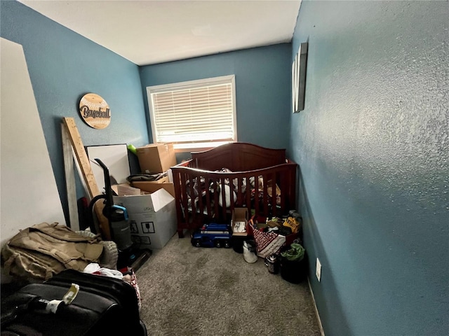 bedroom with carpet floors