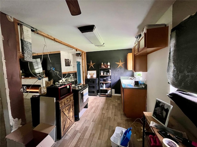 kitchen featuring sink and wood-type flooring