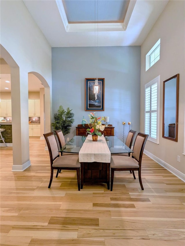 dining room with a healthy amount of sunlight, a tray ceiling, and light wood-type flooring