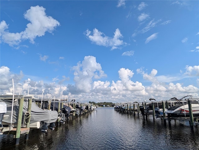 dock area featuring a water view