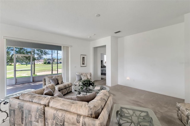 living room featuring carpet flooring