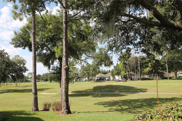 view of home's community with a yard