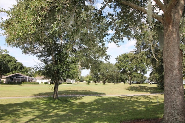 view of community with a yard