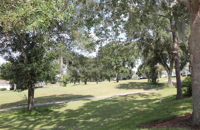 view of community with a yard