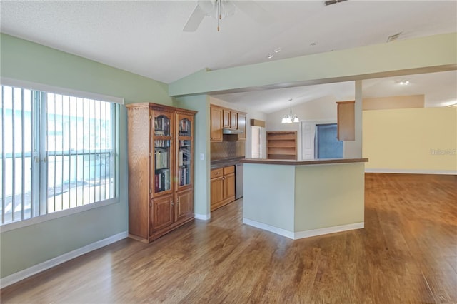 kitchen featuring wood finished floors, baseboards, vaulted ceiling, under cabinet range hood, and ceiling fan with notable chandelier