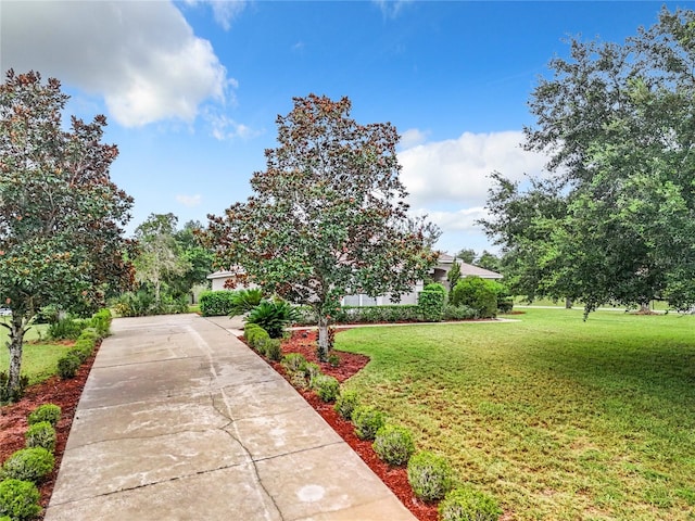 view of property's community with a lawn