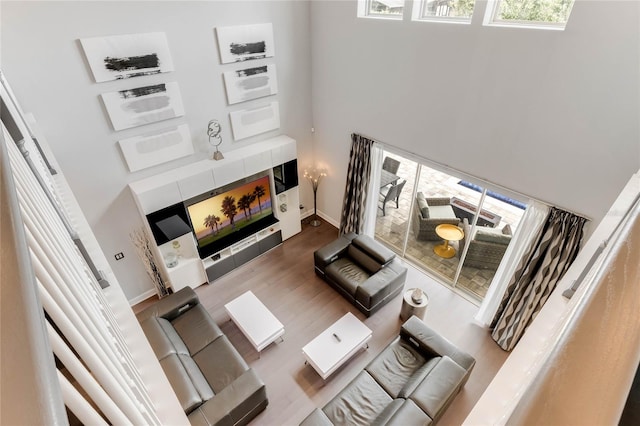 living room with a high ceiling and dark hardwood / wood-style floors