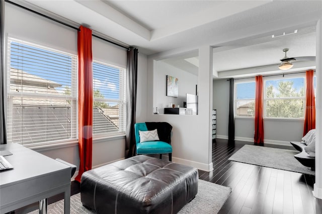 interior space with ceiling fan, a wealth of natural light, and wood-type flooring