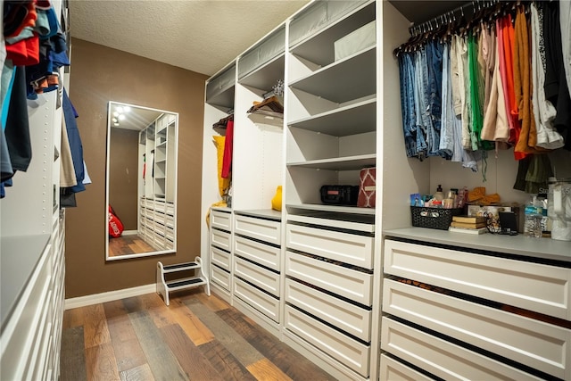 spacious closet featuring hardwood / wood-style floors