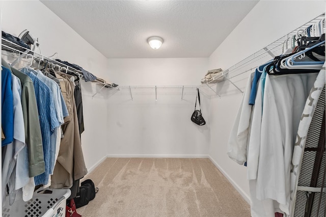 walk in closet featuring light carpet