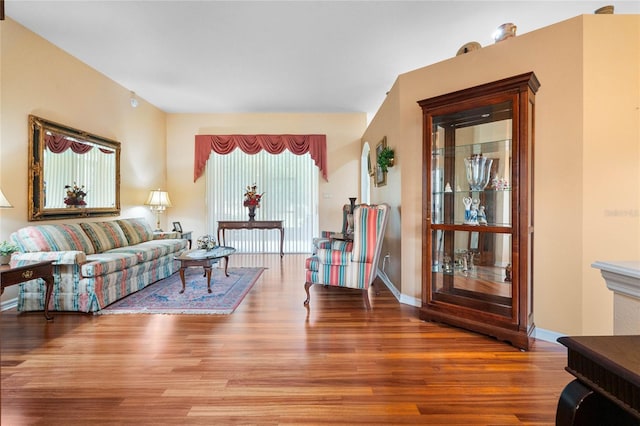 living room with hardwood / wood-style floors