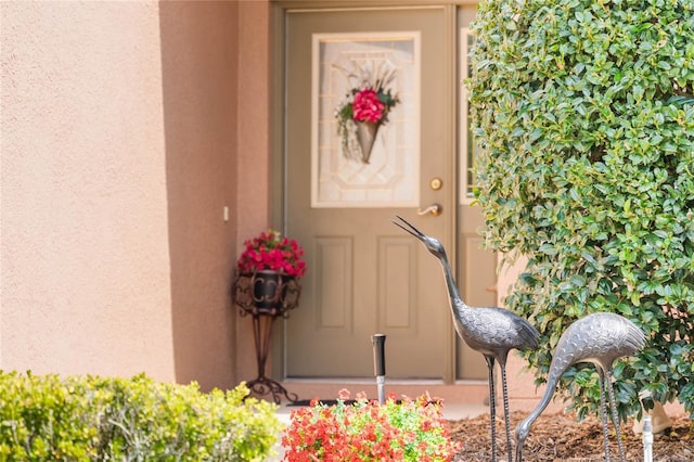 view of exterior entry featuring stucco siding