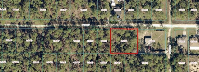 TBD SW 29th St, Ocala FL, 34481 land for sale