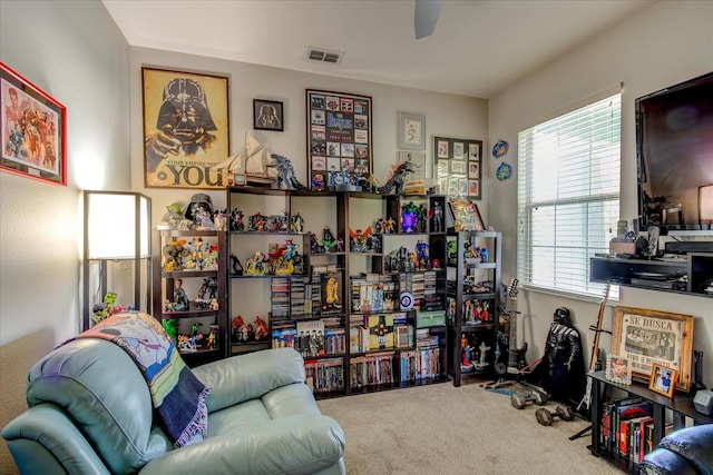 living area with carpet floors