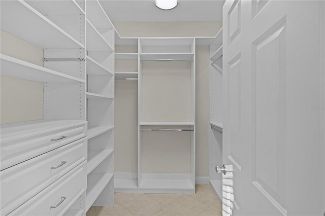 view of spacious closet