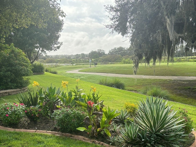 view of property's community featuring a lawn