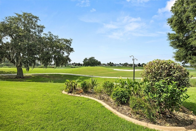 view of community featuring a lawn